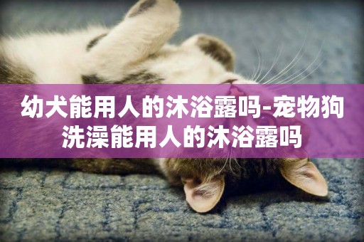 幼犬能用人的沐浴露嗎-寵物狗洗澡能用人的沐浴露嗎