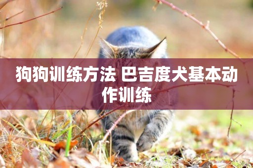 狗狗訓練方法 巴吉度犬基本動作訓練