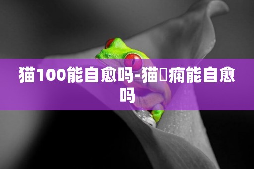 貓100能自愈嗎-貓癲癇能自愈嗎