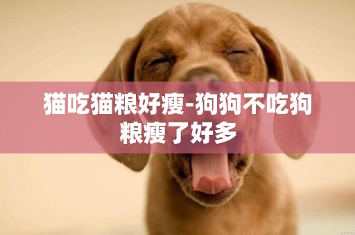 貓吃貓糧好瘦-狗狗不吃狗糧瘦了好多