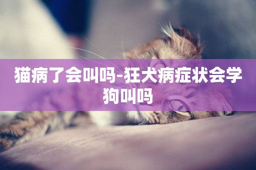 貓病了會叫嗎-狂犬病癥狀會學狗叫嗎