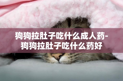 狗狗拉肚子吃什么成人藥-狗狗拉肚子吃什么藥好