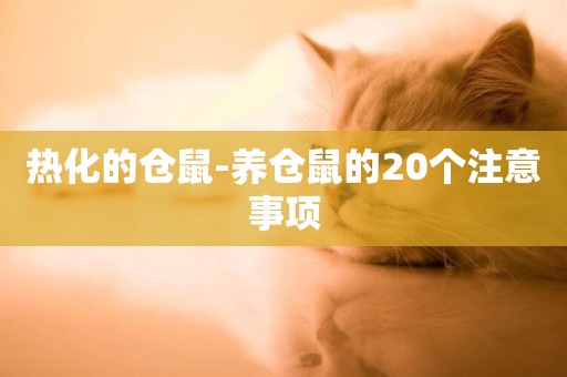 熱化的倉鼠-養倉鼠的20個注意事項