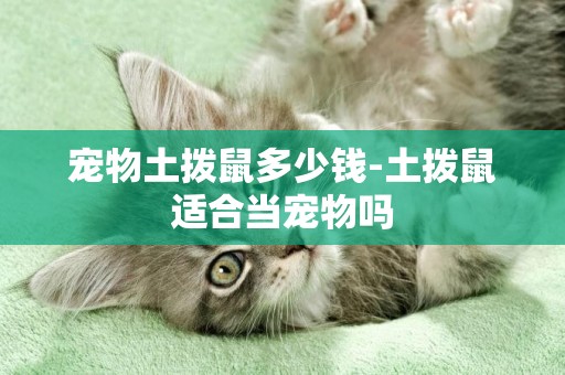 寵物土撥鼠多少錢-土撥鼠適合當寵物嗎