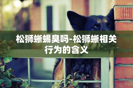 松獅蜥蜴臭嗎-松獅蜥相關行為的含義