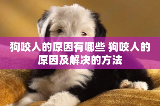狗咬人的原因有哪些 狗咬人的原因及解決的方法