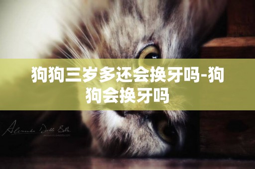 狗狗三歲多還會換牙嗎-狗狗會換牙嗎