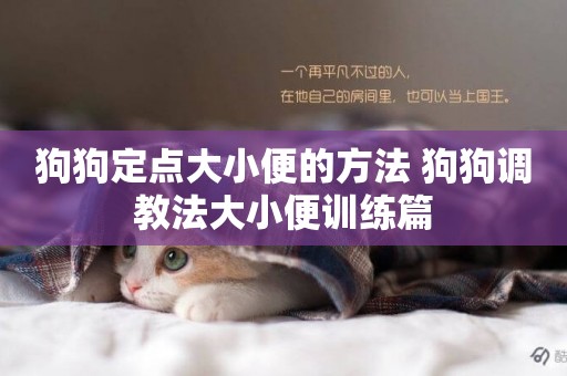 狗狗定點大小便的方法 狗狗調教法大小便訓練篇