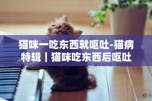 貓咪一吃東西就嘔吐-貓病特輯｜貓咪吃東西后嘔吐