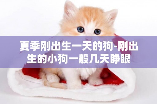 夏季剛出生一天的狗-剛出生的小狗一般幾天睜眼