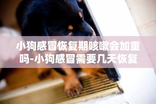 小狗感冒恢復期咳嗽會加重嗎-小狗感冒需要幾天恢復