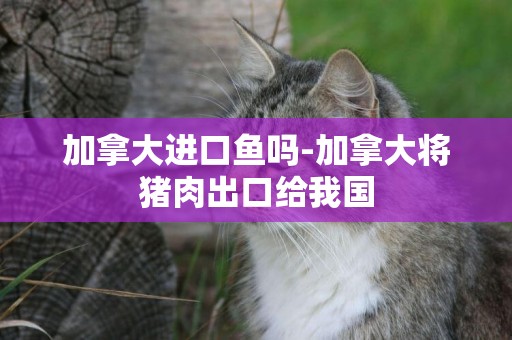 加拿大進口魚嗎-加拿大將豬肉出口給我國