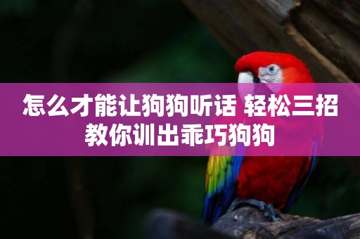 怎么才能讓狗狗聽話 輕松三招教你訓出乖巧狗狗
