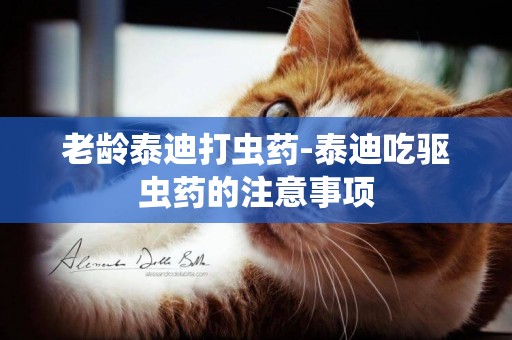 老齡泰迪打蟲藥-泰迪吃驅蟲藥的注意事項