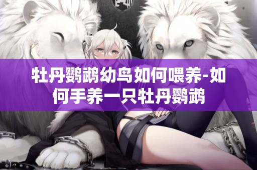 牡丹鸚鵡幼鳥如何喂養-如何手養一只牡丹鸚鵡