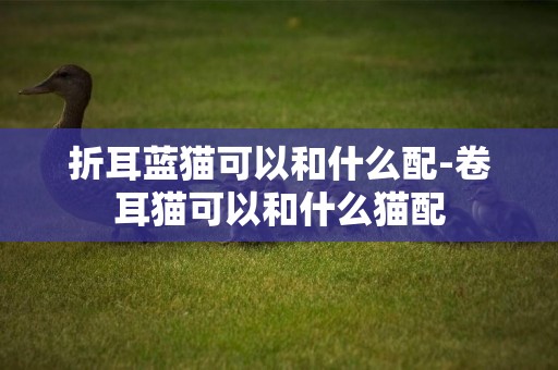 折耳藍貓可以和什么配-卷耳貓可以和什么貓配