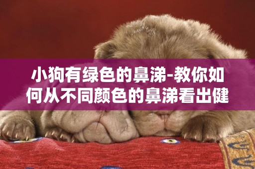 小狗有綠色的鼻涕-教你如何從不同顏色的鼻涕看出健康狀況