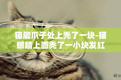 貓腳爪子處上禿了一塊-貓眼睛上面禿了一小塊發紅