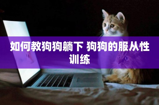 如何教狗狗躺下 狗狗的服從性訓練