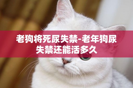 老狗將死尿失禁-老年狗尿失禁還能活多久