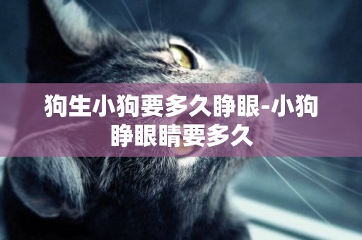 狗生小狗要多久睜眼-小狗睜眼睛要多久