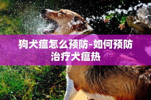 狗犬瘟怎么預防-如何預防治療犬瘟熱