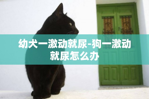 幼犬一激動就尿-狗一激動就尿怎么辦