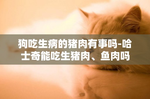 狗吃生病的豬肉有事嗎-哈士奇能吃生豬肉、魚肉嗎