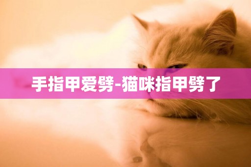 手指甲愛劈-貓咪指甲劈了