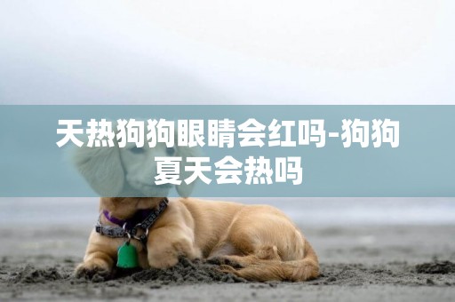 天熱狗狗眼睛會紅嗎-狗狗夏天會熱嗎