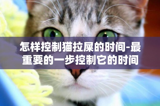 怎樣控制貓拉屎的時間-最重要的一步控制它的時間