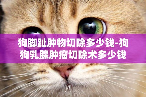 狗腳趾腫物切除多少錢-狗狗乳腺腫瘤切除術多少錢