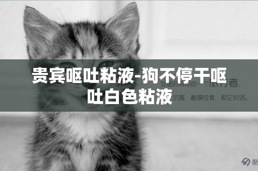 貴賓嘔吐粘液-狗不停干嘔吐白色粘液