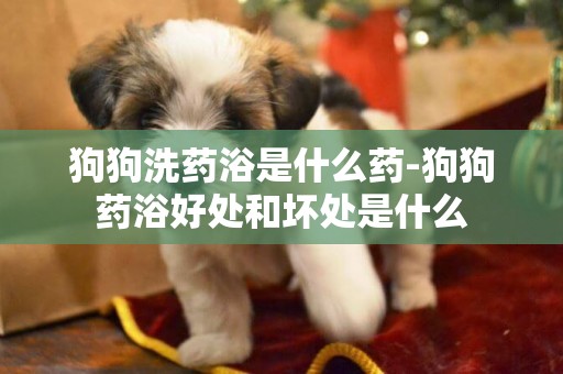 狗狗洗藥浴是什么藥-狗狗藥浴好處和壞處是什么