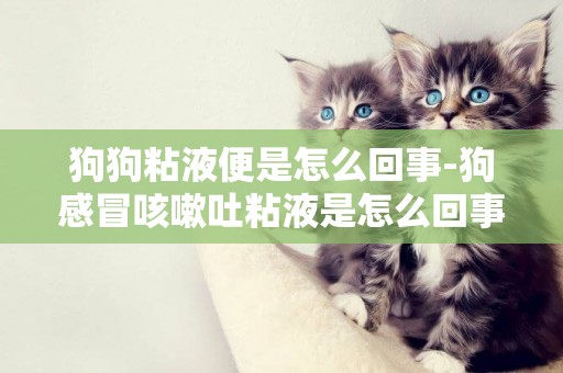 狗狗粘液便是怎么回事-狗感冒咳嗽吐粘液是怎么回事