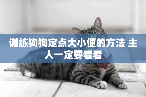 訓練狗狗定點大小便的方法 主人一定要看看