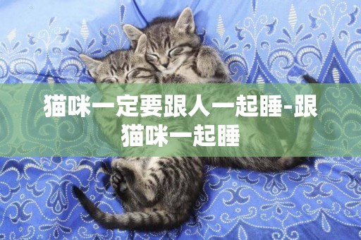 貓咪一定要跟人一起睡-跟貓咪一起睡