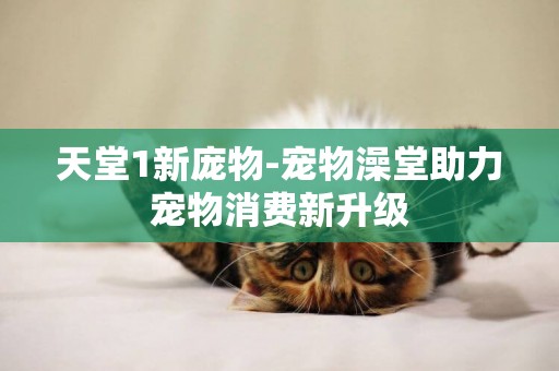 天堂1新龐物-寵物澡堂助力寵物消費新升級