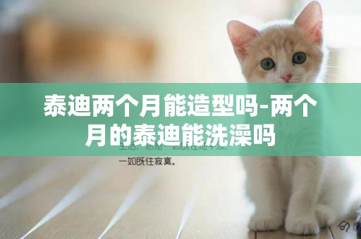 泰迪兩個月能造型嗎-兩個月的泰迪能洗澡嗎