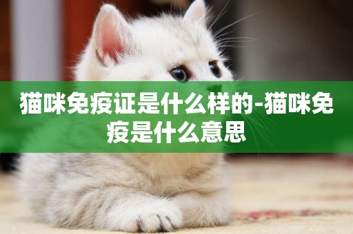 貓咪免疫證是什么樣的-貓咪免疫是什么意思