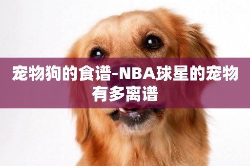 寵物狗的食譜-NBA球星的寵物有多離譜