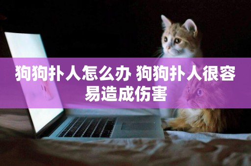 狗狗撲人怎么辦 狗狗撲人很容易造成傷害