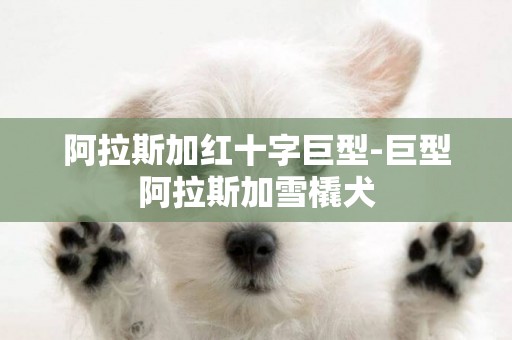 阿拉斯加紅十字巨型-巨型阿拉斯加雪橇犬