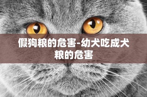 假狗糧的危害-幼犬吃成犬糧的危害