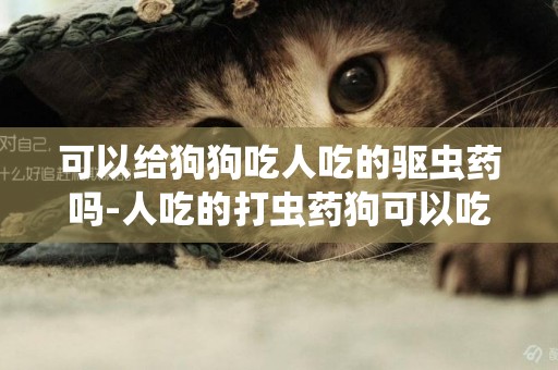 可以給狗狗吃人吃的驅蟲藥嗎-人吃的打蟲藥狗可以吃嗎