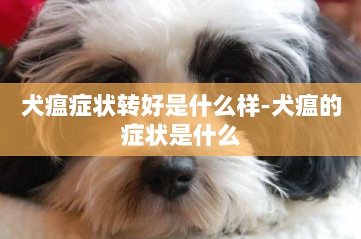 犬瘟癥狀轉好是什么樣-犬瘟的癥狀是什么
