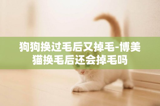 狗狗換過毛后又掉毛-博美貓換毛后還會掉毛嗎