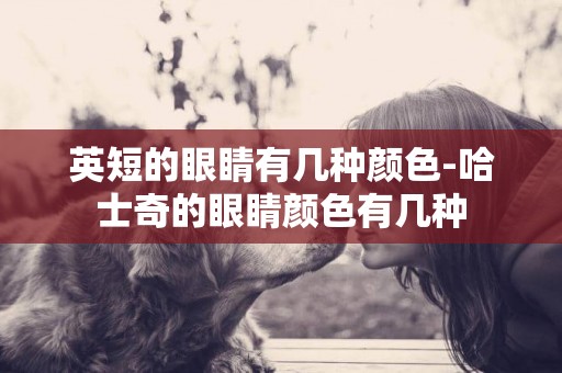 英短的眼睛有幾種顏色-哈士奇的眼睛顏色有幾種