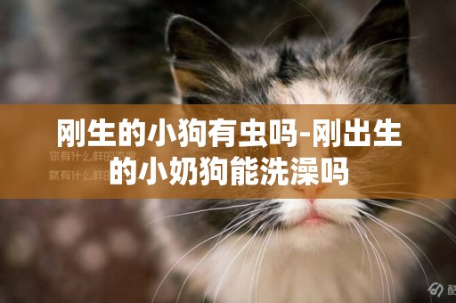 剛生的小狗有蟲嗎-剛出生的小奶狗能洗澡嗎