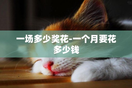 一場多少獎花-一個月要花多少錢